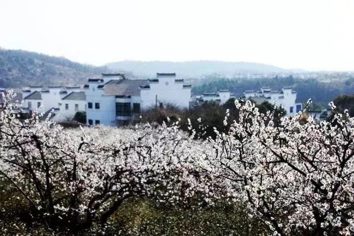 和李云龙的独立团不同,抗战时真正的独立团,或许不是绝对主力
